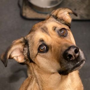 Meet your Posher, Walter